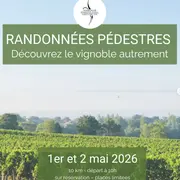 Cave des Vignerons de Puisseguin Lussac Saint-Emilion : Randonnées pédestres