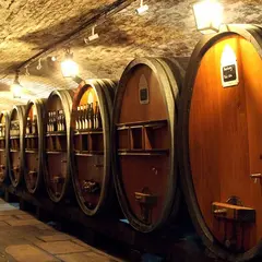 Cave historique des Hospices de Strasbourg