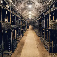 Caves Bouchard Père & Fils - Beaune