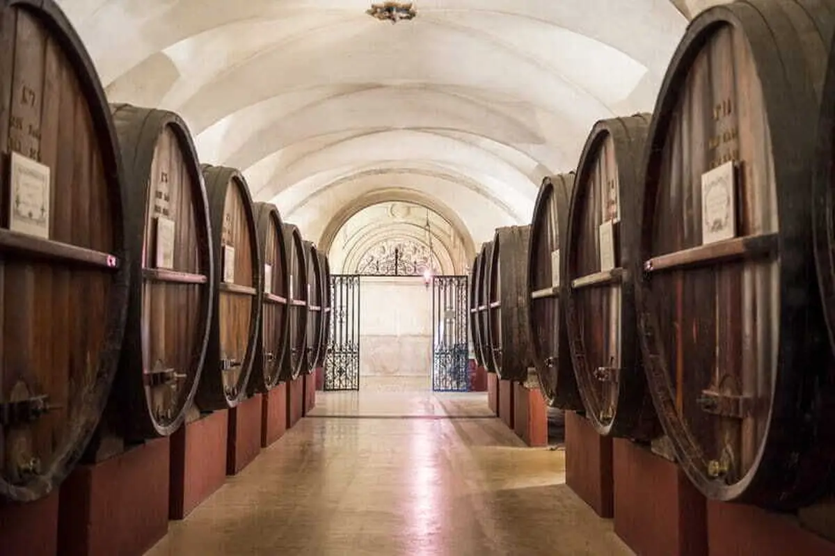Caves Patriarche - Beaune