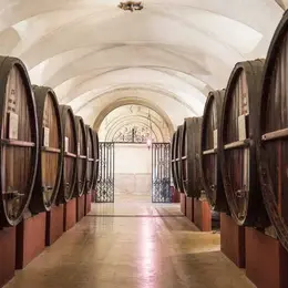 Caves Patriarche - Beaune