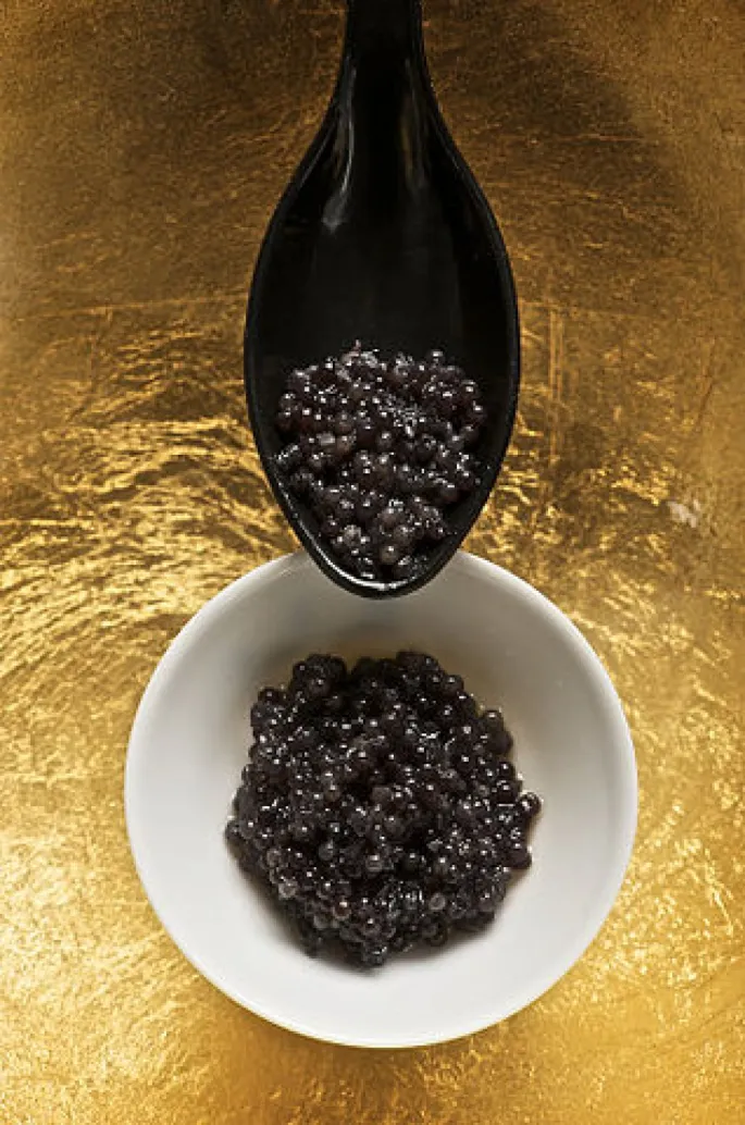 Le caviar, un mets prestigieux.