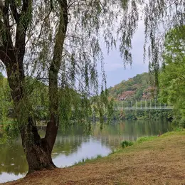 Randonnée pédestre 