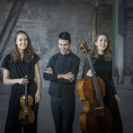 Matinée du Dimanche: Amelio Trio