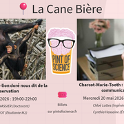 Ce que le tamarin-lion doré nous dit de la conservation