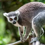 Ce week-end à Mulhouse : 6 idées pour sortir les 25 et 26 avril