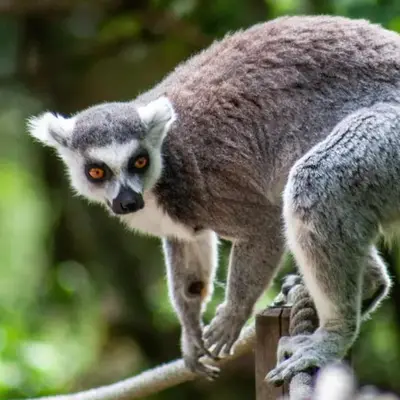 Ce week-end à Mulhouse : 6 idées pour sortir les 25 et 26 avril