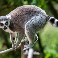 Ce week-end à Mulhouse : 6 idées pour sortir les 25 et 26 avril DR