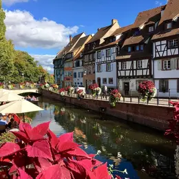 Ce week-end en Alsace qui transforme un simple voyage en souvenir inoubliable
