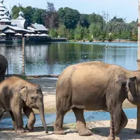 Ce zoo élu 6 fois meilleur d’Europe se trouve juste à côté de la France DR