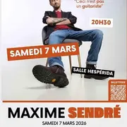 Ceci n'est pas un guitariste - Maxime SENDRE