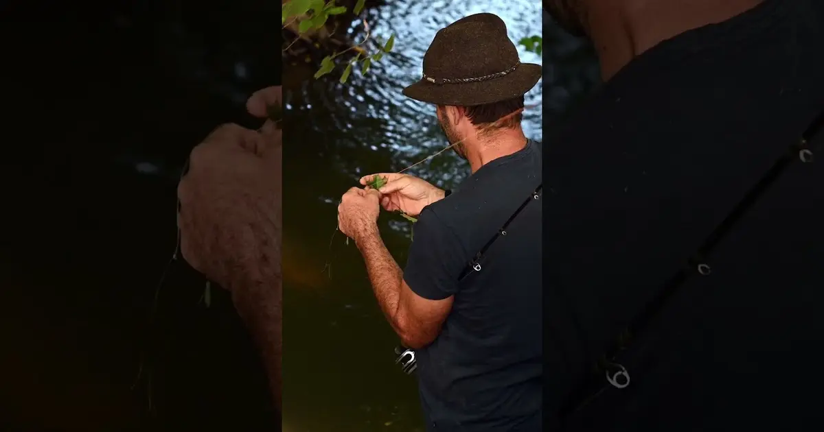 Célé'té en vallée du célé : Projection du film "Le Drauzou : la pêche aux fantômes"