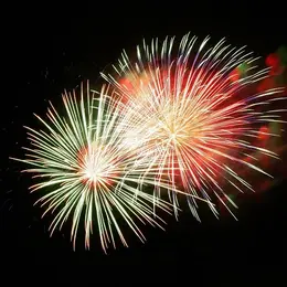 Célébration de la Fête Nationale à Amboise