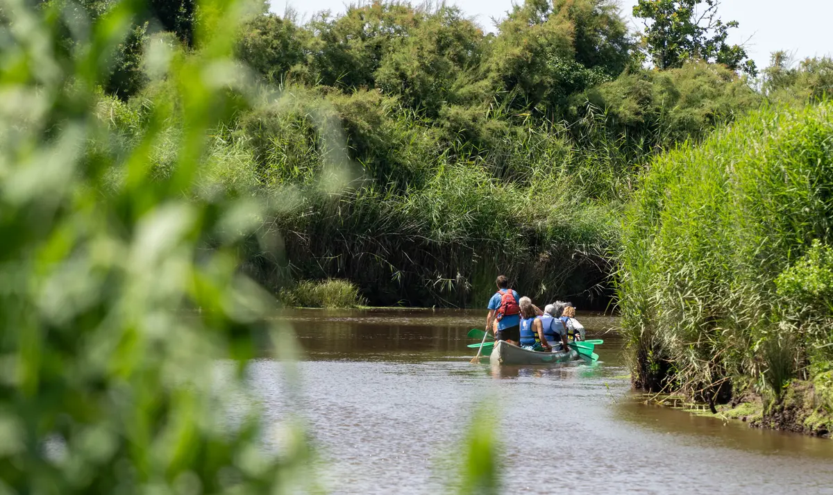 Célébrez les Zones Humides en canoë sur la Leyre et à pied dans la Réserve ornithologique du Teich !