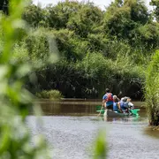 Célébrez les Zones Humides en canoë sur la Leyre et à pied dans la Réserve ornithologique du Teich !