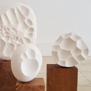 Cellules de Matière - Sculptures sur bois aux formes organiques