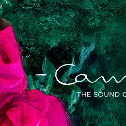 Centre Culturel : Camille