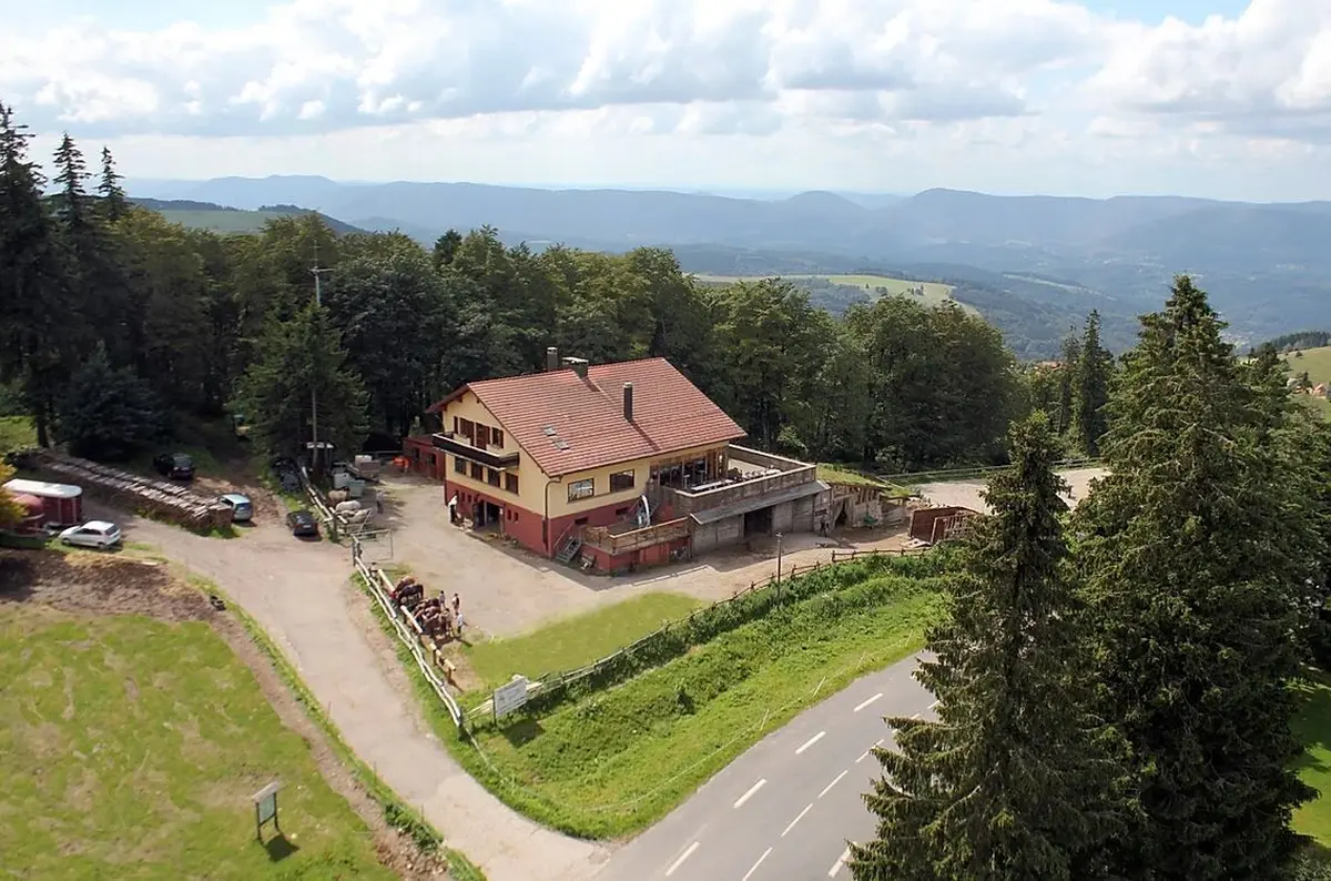 Le centre équestre Cheval Alsace au Champs du Feu