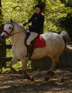 Centre équestre de Wattwiller