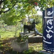 CSC L'Escale Robertsau