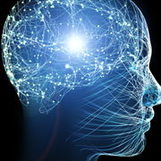 Cerveau, comportements et actions : comprendre ce qui nous guide ?