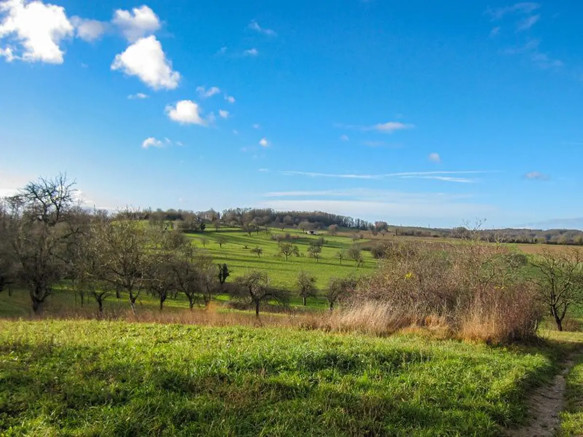 Les collines de Rixheim