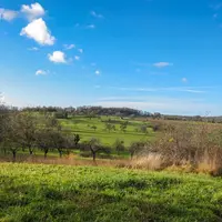 Les collines de Rixheim &copy; DR