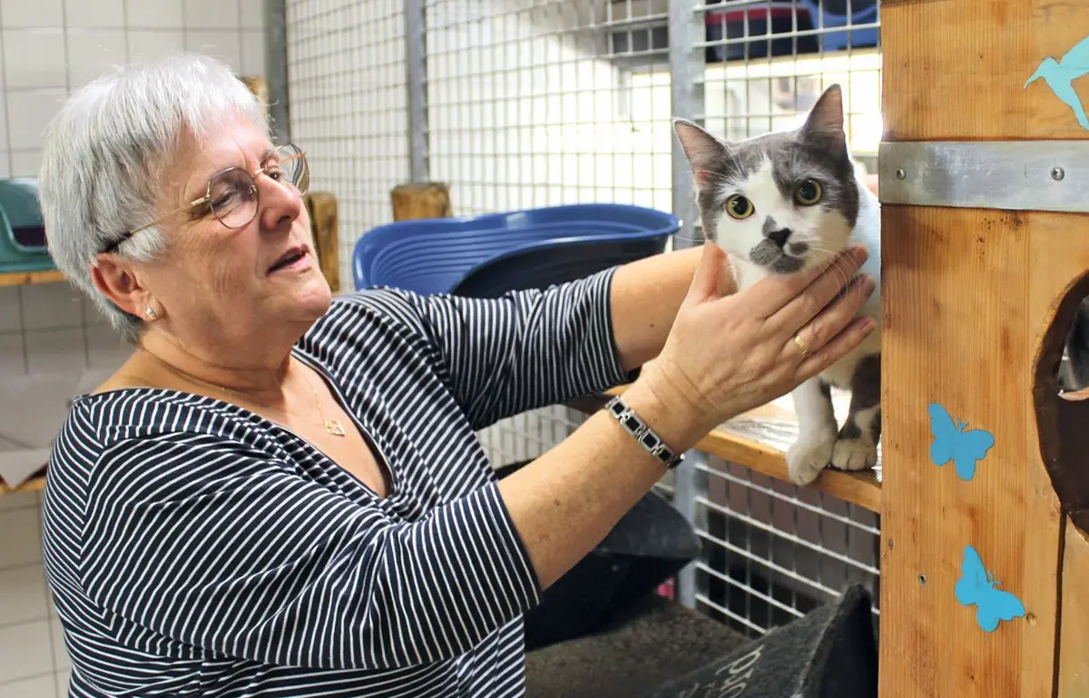 Yvonne, bénévole à la chatterie
