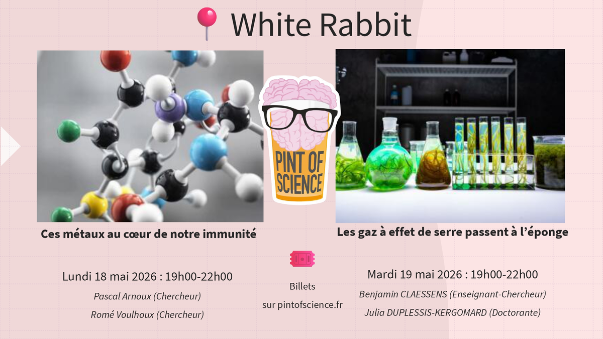 Ces métaux au cœur de notre immunité - Pint of Science 2026