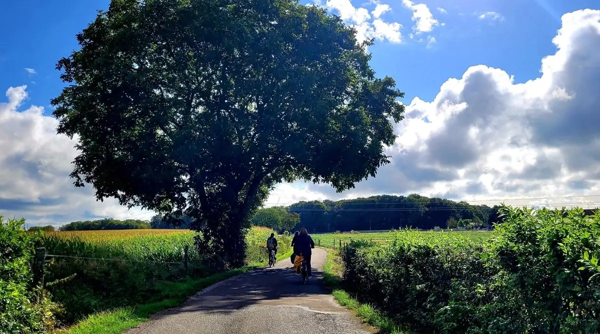 Cette boucle vélo inclusive dans le Sundgau vient d'obtenir un label national unique en France et 4 nouveaux circuits alsaciens sont déjà en préparation