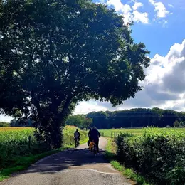 Cette boucle vélo inclusive dans le Sundgau vient d'obtenir un label national unique en France et 4 nouveaux circuits alsaciens sont déjà en préparation