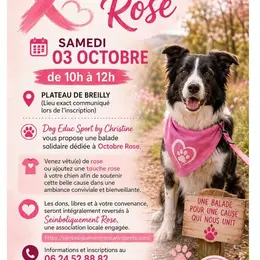 Balade canine dédiée à Octobre rose et la lutte contre le cancer