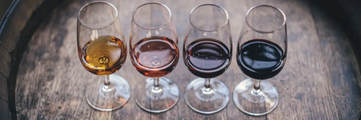 Chai Bordin - Dégustation de vins