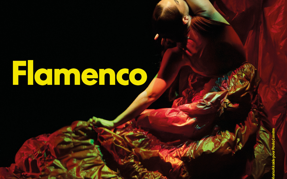 Chaillot Expérience Flamenco