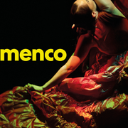 Chaillot Expérience Flamenco