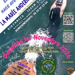 Challenge Nage Avec Palmes