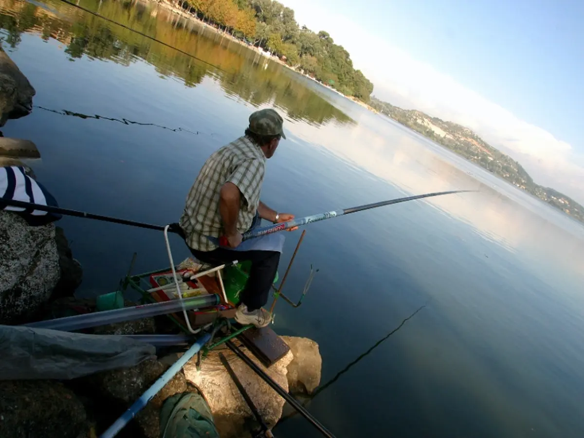 Challenges de pêche