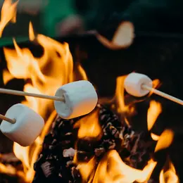 Chamallow grillés au camping des Roussilles