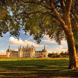 Chambord Live