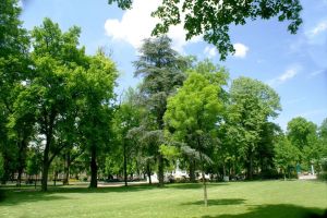 Champ de Mars à Colmar, parc avenue de la République