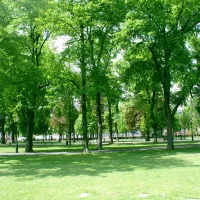 Champs de Mars à Colmar DR