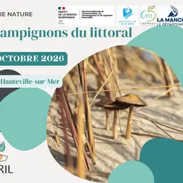 Champignons du littoral