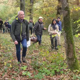 Champignons en Sologne