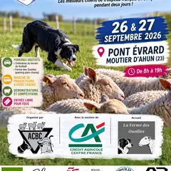 Championnat de France Inter-races de chien de troupeau