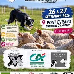 Championnat de France Inter-races de chien de troupeau