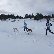 Championnat De France Neige De Canicross
