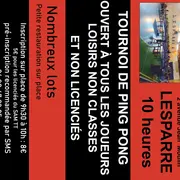 Championnat de Ping-Pong Loisirs