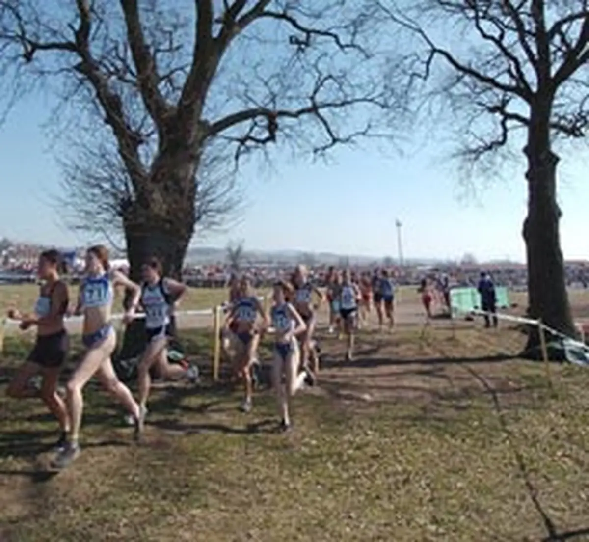 Championnat départemental Cross Country
