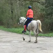 Championnat Départemental et Regional d'Endurance Equestre