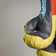 Championnat Du Monde De Kickboxing